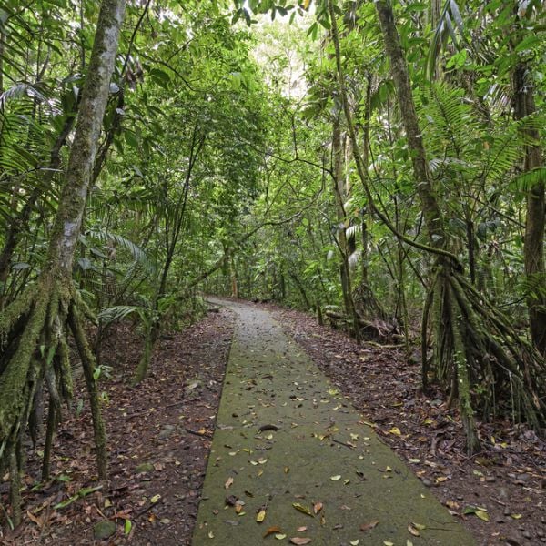 Discover the Off the Beaten Path Natural Beauty of Costa Rica on a 12-Day Escape with your Partner