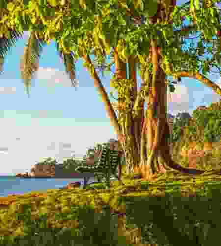 Explore Rainforests, Culture & Beautiful Beaches on this 6-Day Tailored Family Journey