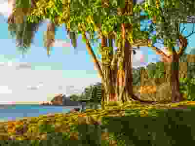 Explore Rainforests, Culture & Beautiful Beaches on this 6-Day Tailored Family Journey