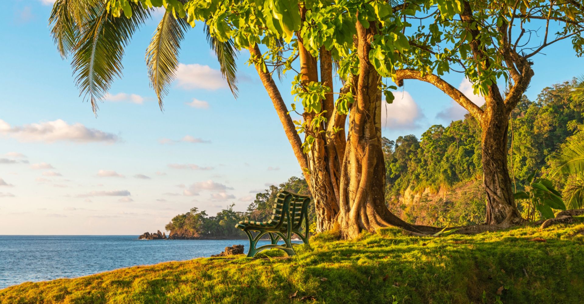 Explore Rainforests, Culture & Beautiful Beaches on this 6-Day Tailored Family Journey