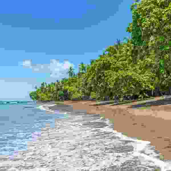 Explore Rainforests, Culture & Beautiful Beaches on this 6-Day Tailored Family Journey