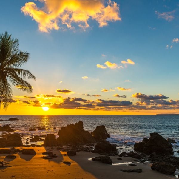Explore Rainforests, Culture & Beautiful Beaches on this 6-Day Tailored Family Journey