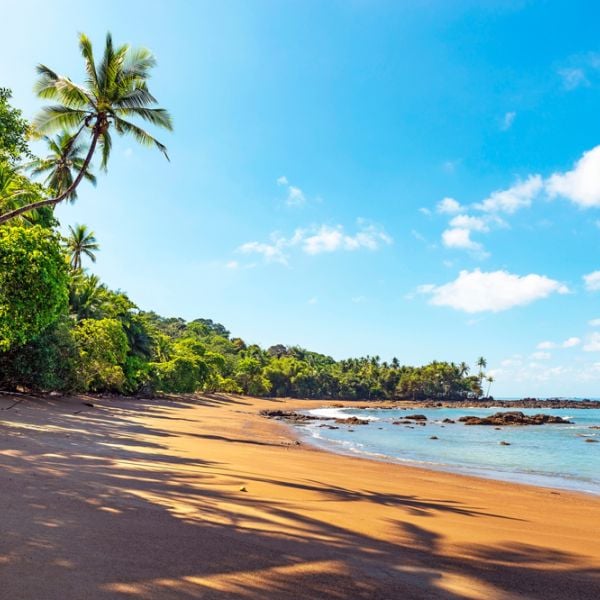 Explore Rainforests, Culture & Beautiful Beaches on this 6-Day Tailored Family Journey