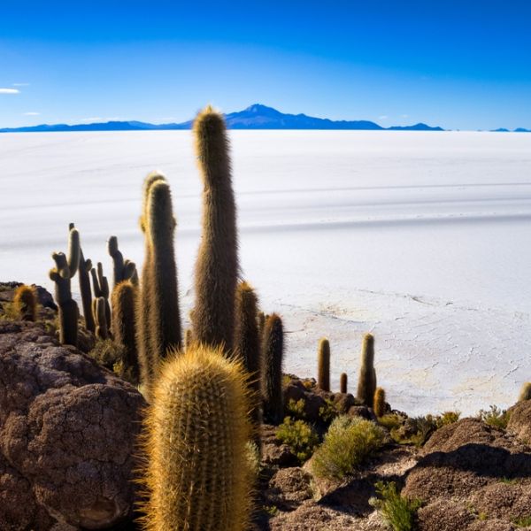 Explore Chile, Bolivia & Peru on a Tailored Journey of Discovery