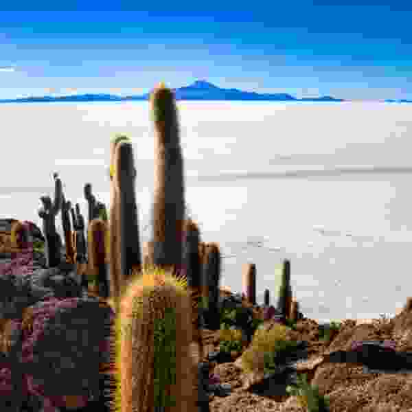 Explore Chile, Bolivia & Peru on a Tailored Journey of Discovery