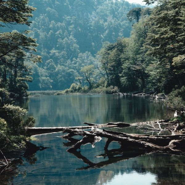 A Foodie's Dream in Chile's Lake District: Tailored 8-Day Culinary & Cultural Journey