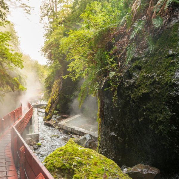 A Foodie's Dream in Chile's Lake District: Tailored 8-Day Culinary & Cultural Journey