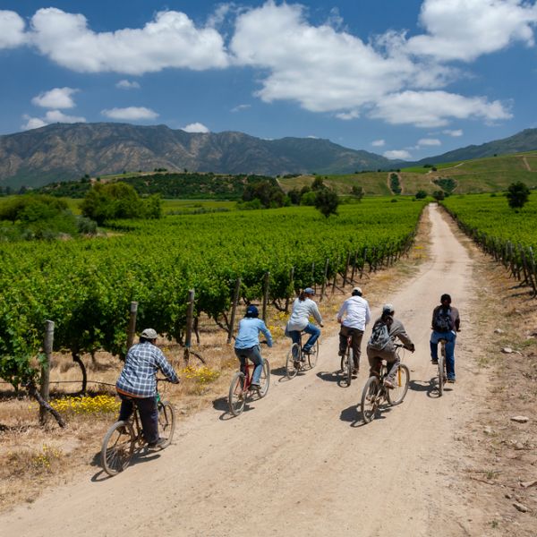 Explore Chile’s Diverse Landscapes on a Tailored 21-Day Family Journey