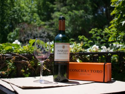 Chile Wine Region & Culinary Adventure: Tailored 6-Day Journey