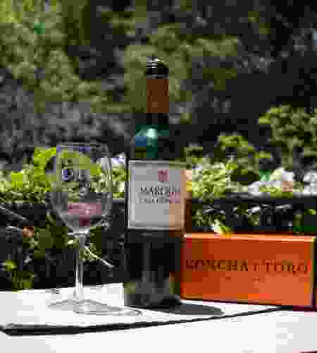 Chile Wine Region & Culinary Adventure: Tailored 6-Day Journey