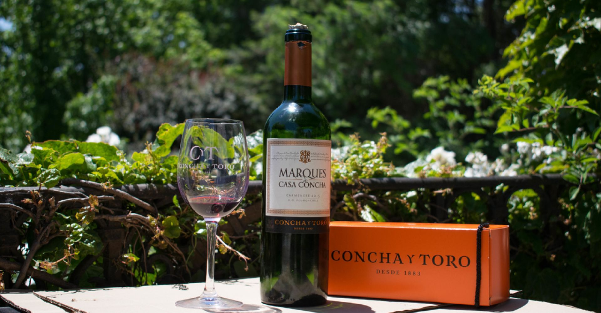 Chile Wine Region & Culinary Adventure: Tailored 6-Day Journey