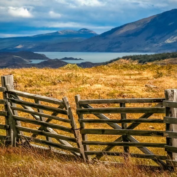 A Tailored 14-Day Chile Family Safari full of Adventure & Discovery