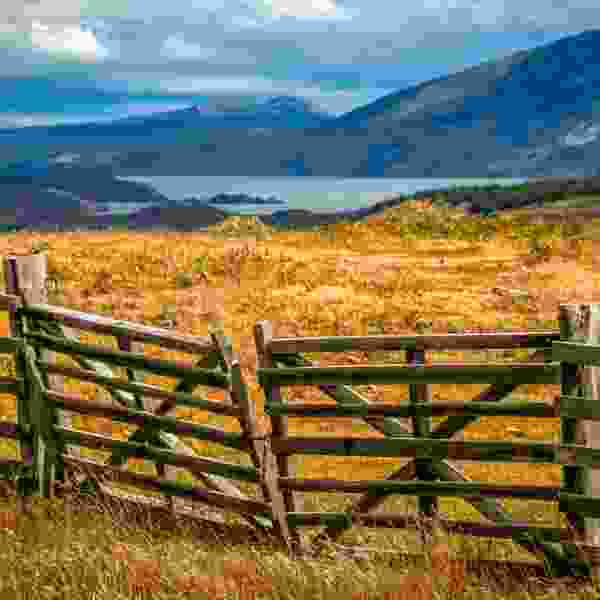 A Tailored 14-Day Chile Family Safari full of Adventure & Discovery