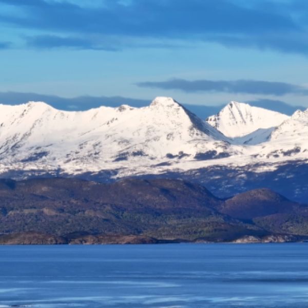 Discover Patagonia: A 16-Day Tailored Land & Cruise Journey with Luxury, Wilderness & Culture