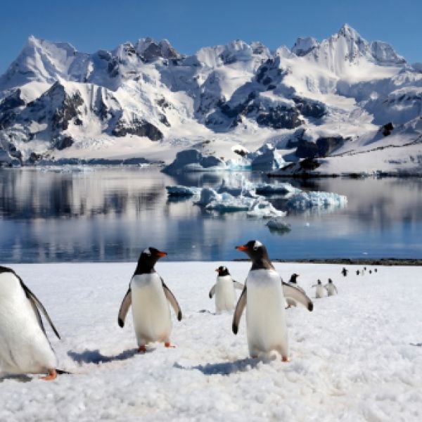 Explore in 11 Days the World’s Last Frontier, Patagonia & Antarctica, in Comfort and Style