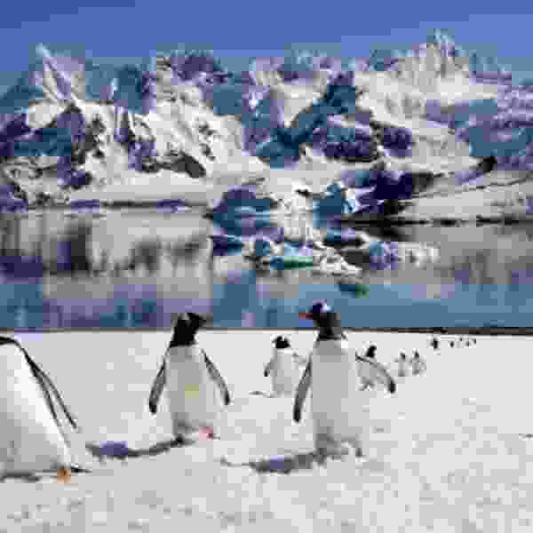 Explore in 11 Days the World’s Last Frontier, Patagonia & Antarctica, in Comfort and Style