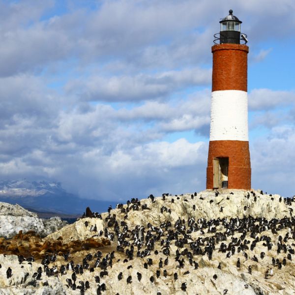 Argentina Uncovered: A 19-Day Journey through Patagonia, El Calafate, Bariloche, Ushuaia, Iguazú & Buenos Aires