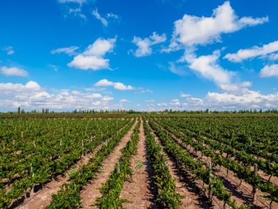 Argentina: Experience Tango, Wine & Timeless Landscapes in 9 Days