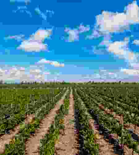 Argentina: Experience Tango, Wine & Timeless Landscapes in 9 Days