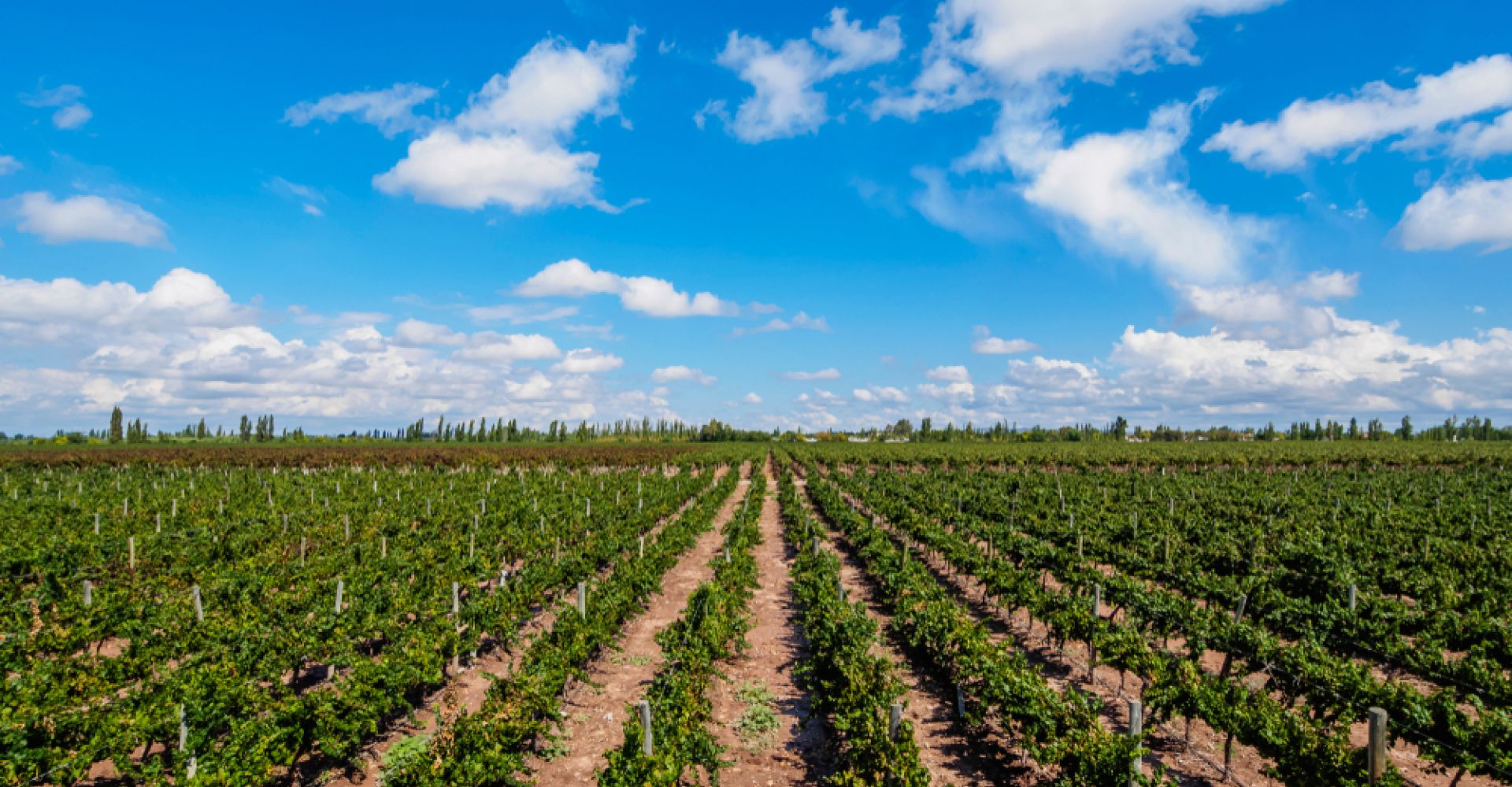 Argentina: Experience Tango, Wine & Timeless Landscapes in 9 Days