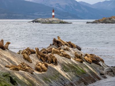 Discover the Cosmopolitan, Patagonian & Tropical Wonders of Argentina in 12 Days