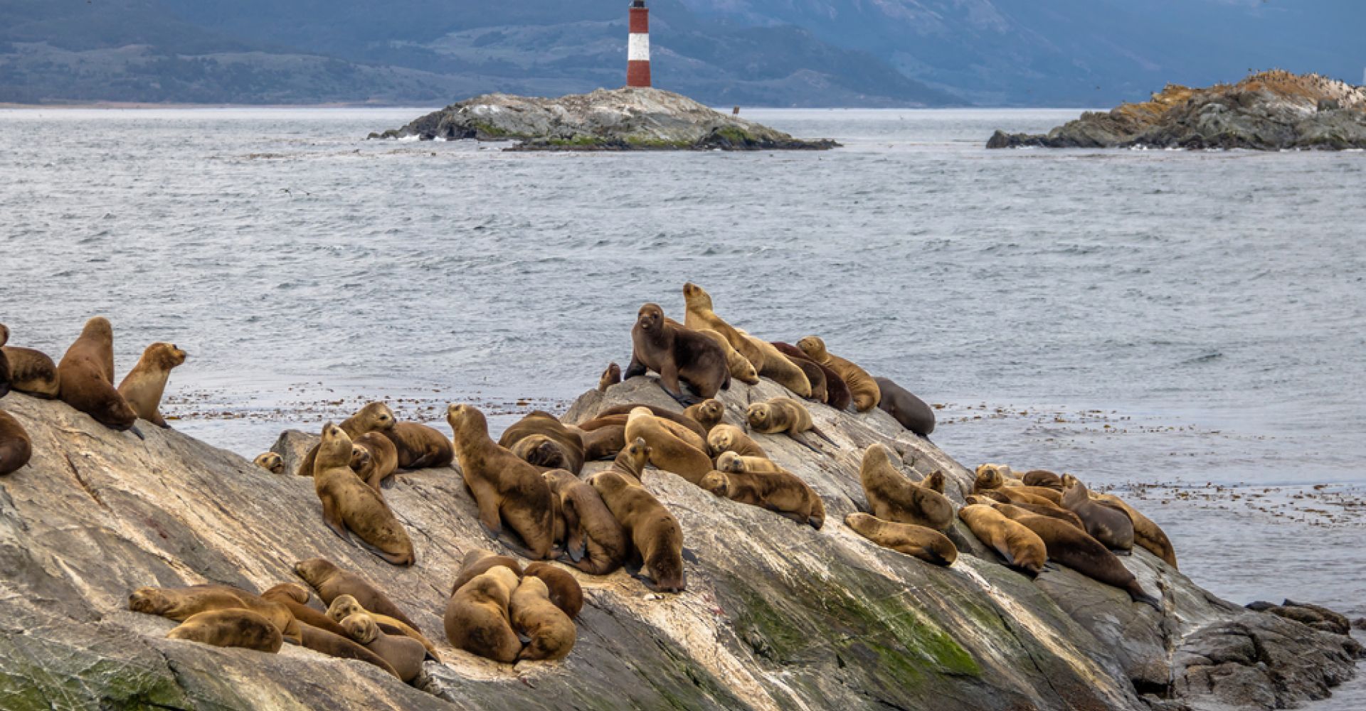 Discover the Cosmopolitan, Patagonian & Tropical Wonders of Argentina in 12 Days