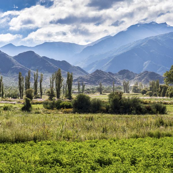 Experience with the family natural wonders and cultural highlights in 14 Days from North to South Argentina