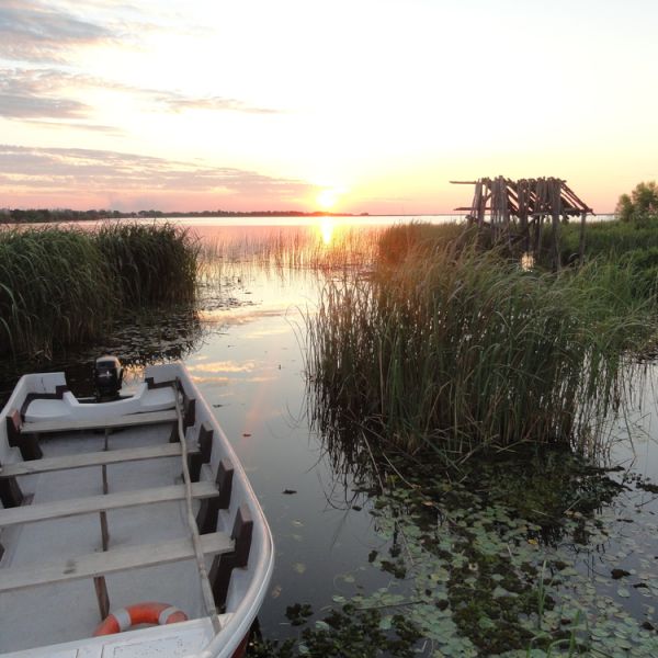 Explore Argentina’s Wonders Through Eco-Lodges and Authentic Experiences in 12 Days