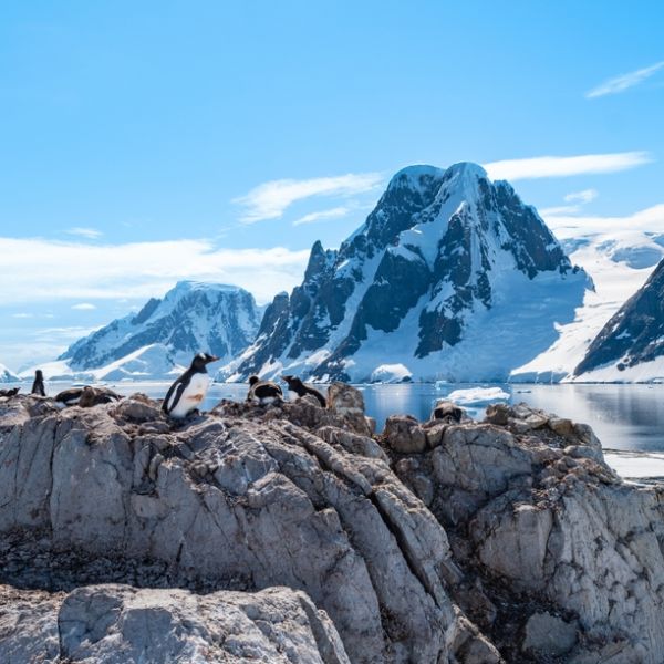 From Buenos Aires to Antarctica: A 19-Day Polar Trip full of Culture