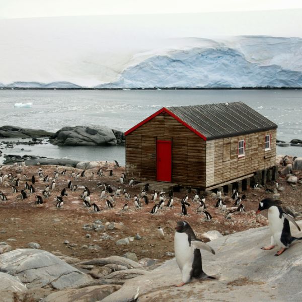 From Buenos Aires to Antarctica: A 19-Day Polar Trip full of Culture