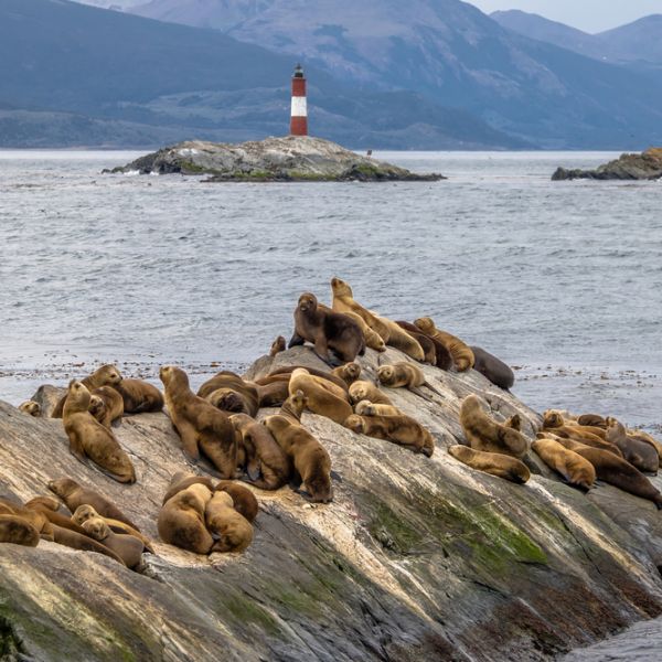 From Buenos Aires to Antarctica: A 19-Day Polar Trip full of Culture