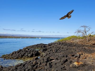 Galapagos Unbound: A 10-Day Tailor-Made Island-Hopping Adventure