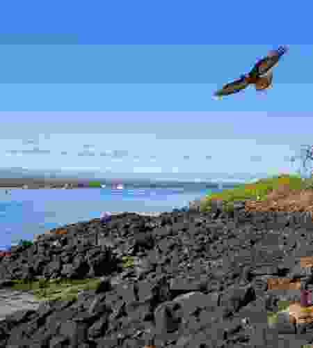Galapagos Unbound: A 10-Day Tailor-Made Island-Hopping Adventure