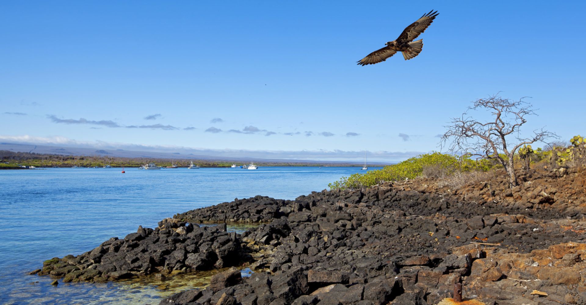 Galapagos Unbound: A 10-Day Tailor-Made Island-Hopping Adventure