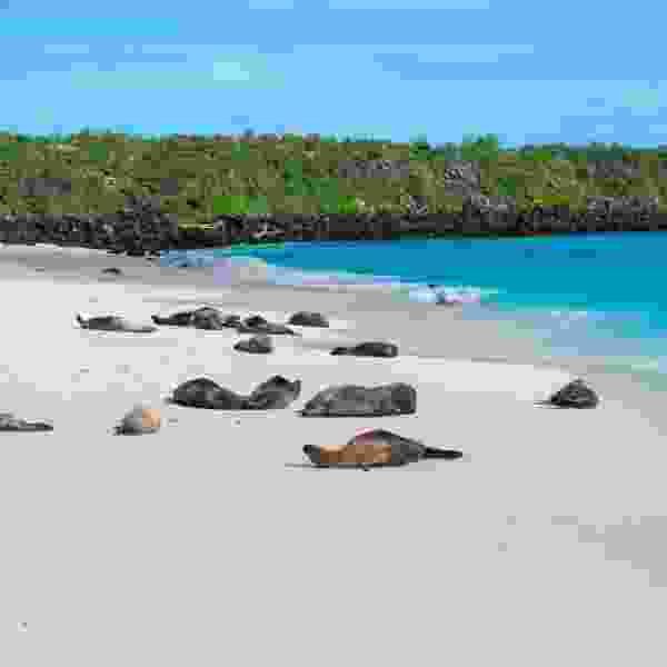 Galapagos Unbound: A 10-Day Tailor-Made Island-Hopping Adventure