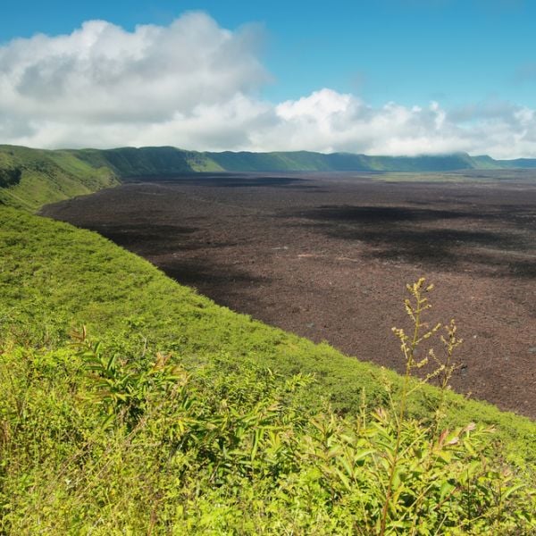 Galapagos Unbound: A 10-Day Tailor-Made Island-Hopping Adventure