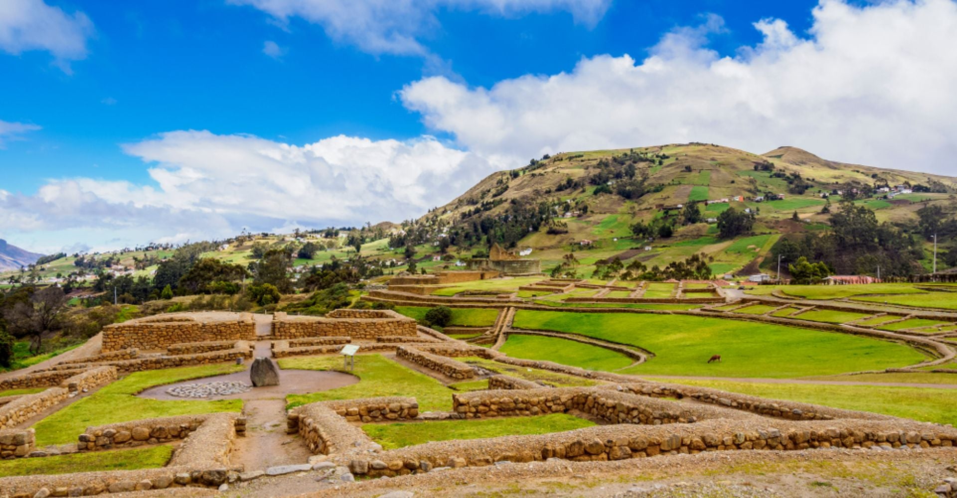 Ecuador in Full Color: A 14-Day Culture & Nature Journey
