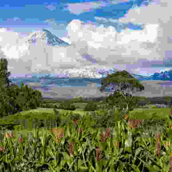 Ecuador in Full Color: A 14-Day Culture & Nature Journey