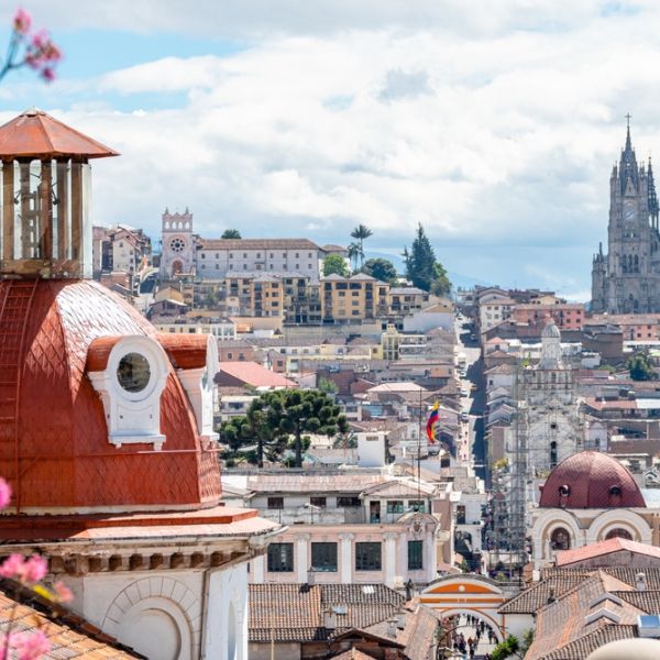 Ecuador in Full Color: A 14-Day Culture & Nature Journey