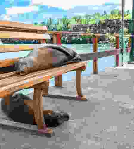 Ecuador by Nature: A 14-Day Family Journey through the Andes, Amazon & Galapagos