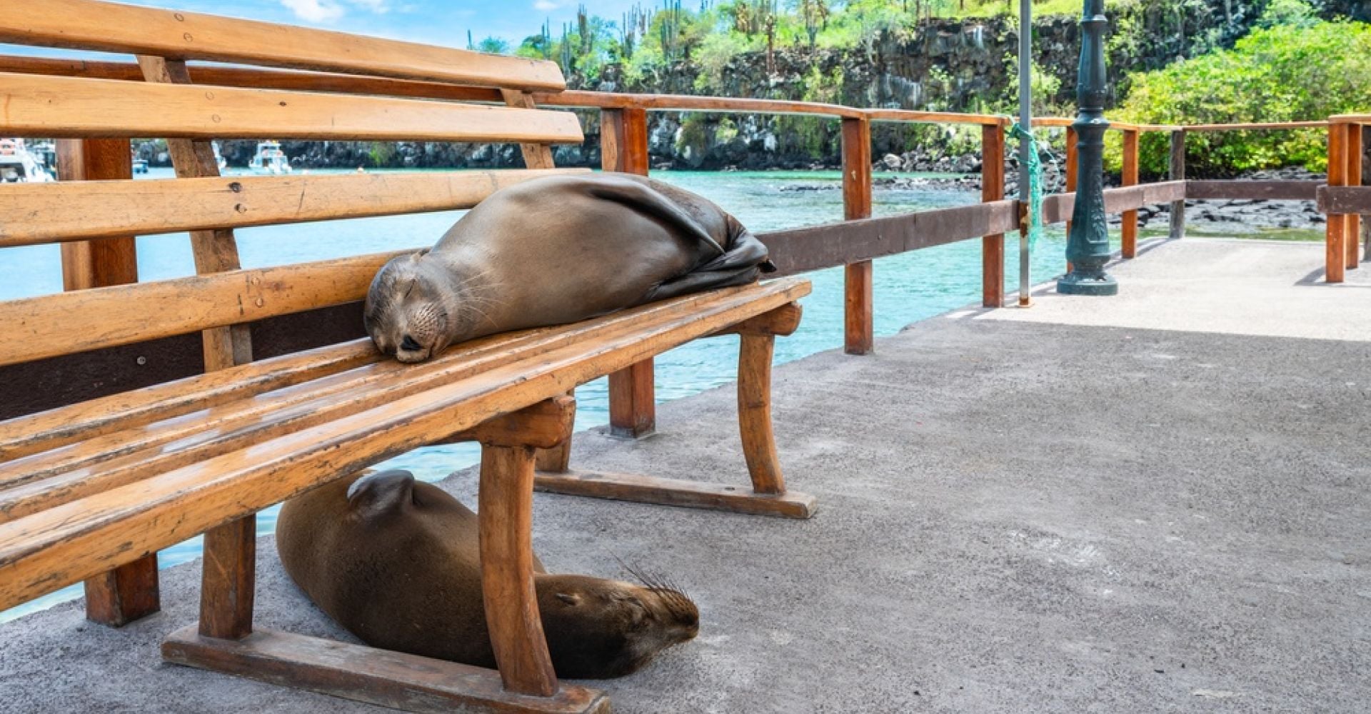 Ecuador by Nature: A 14-Day Family Journey through the Andes, Amazon & Galapagos