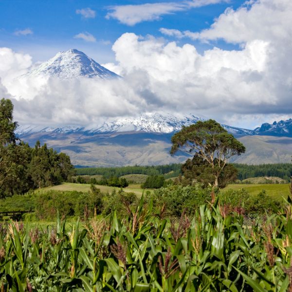 Ecuador by Nature: A 14-Day Family Journey through the Andes, Amazon & Galapagos