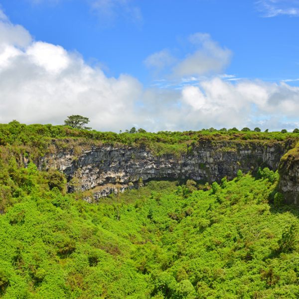 Ecuador by Nature: A 14-Day Family Journey through the Andes, Amazon & Galapagos