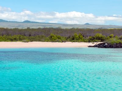 Ecuador & Galápagos Adventure: A 31-Day Odyssey of Culture, Nature & Wildlife for everyone