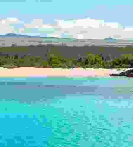 Ecuador & Galápagos Adventure: A 31-Day Odyssey of Culture, Nature & Wildlife for everyone