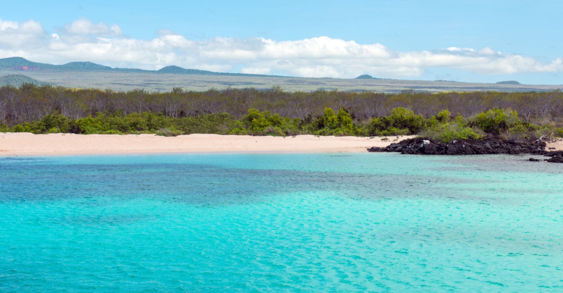 Ecuador & Galápagos Adventure: A 31-Day Odyssey of Culture, Nature & Wildlife for everyone
