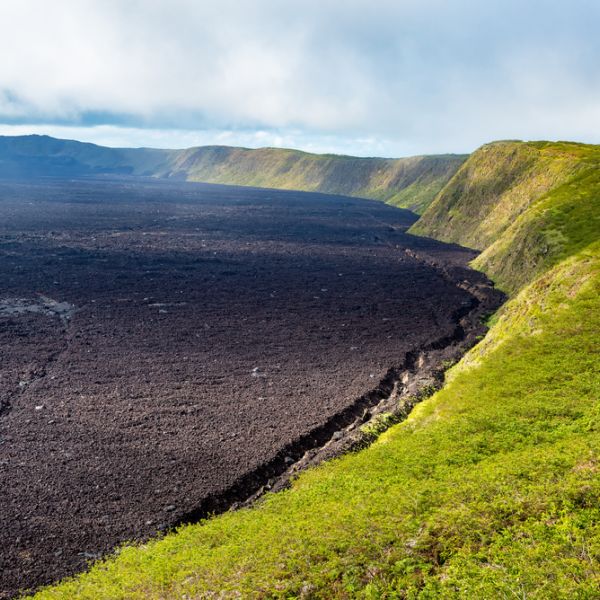 Ecuador & Galápagos Adventure: A 31-Day Odyssey of Culture, Nature & Wildlife for everyone