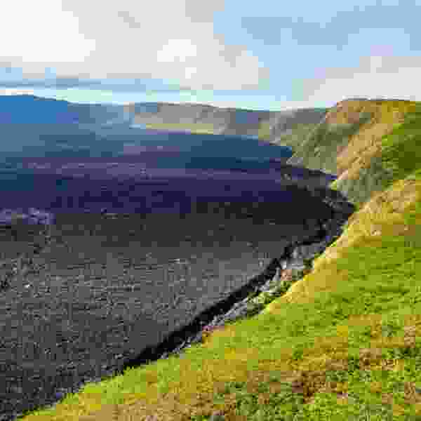 Ecuador & Galápagos Adventure: A 31-Day Odyssey of Culture, Nature & Wildlife for everyone