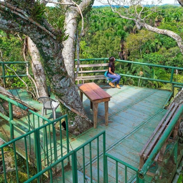 Ecuador & Galápagos Adventure: A 31-Day Odyssey of Culture, Nature & Wildlife for everyone