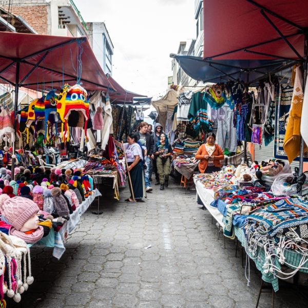 Ecuador & Galápagos Adventure: A 31-Day Odyssey of Culture, Nature & Wildlife for everyone